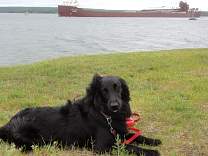 20200624_21kayeebarker.jpg