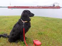 20200624_71whitefishbay.jpg