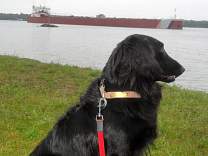 20200624_82edwinhgott.jpg