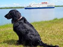 20220608_oceannavigatoraune.jpg