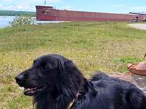 20220608_prt1.jpg