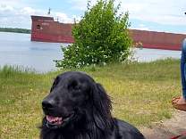 20220608_prt2.jpg