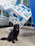 ca20220908icecubesantaclarita1.jpg