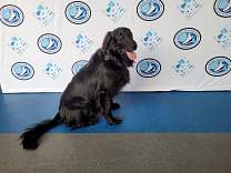 ca20220908icecubesantaclarita2.jpg
