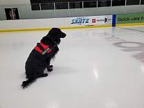 in20211105_ftwaynesportoneparkviewicehouse.jpg