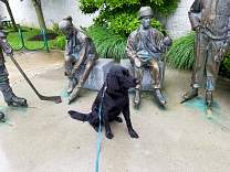 md20170512gardensrinklaurelmd.jpg
