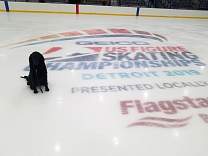 mi20190117dscnationals.jpg