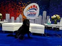 mi20190123nationalsdsc.jpg