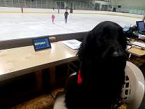 mi20190516_springtimereferee.jpg