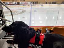 mi20210807_adrianarringtonarena.jpg