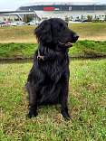 ne20211009_baxterarenauno.jpg