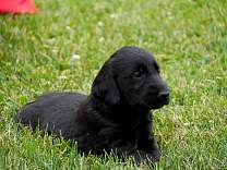 20160630_barb3.jpg