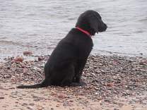 20160810_agatebeach5.jpg