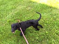 20160903_withmary2.jpg