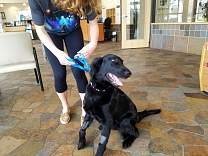 20170409_bluepearlsfldhome1.jpg