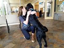 20170409_bluepearlsfldhome2.jpg