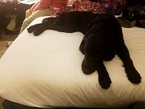 20170511_maydayhotel.jpg
