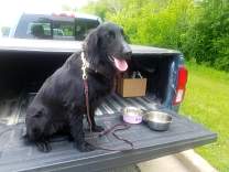 20190619tailgatelunchpleasantprairie.jpg