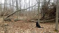 20200410_quarantinewoods.jpg