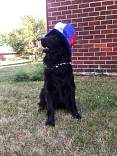 20200704_agatefourth.jpg