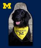 20201031_michiganstadium2020covid.jpeg
