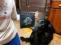 20220122_fcrpotholder.jpg