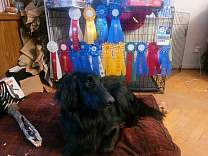 20221209_ribbons.jpg