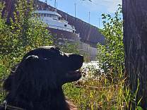 20230929_103243.jpg