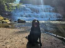 20231001_agatefallsbottom1.jpg