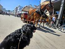 20260703_123231.jpg