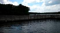 20170422_03.jpg