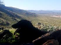 20200301_04westwingmtn.jpg