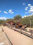 c2cowboyarea.jpg