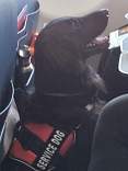 20210217_flying.jpg