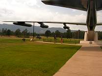 Wing