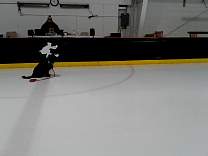 20210128_3announcerjudge.jpg