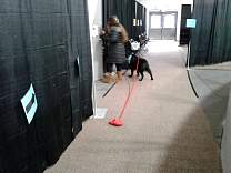 20210128_5exit.jpg