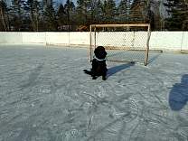 20210129_2outdoorrink.jpg