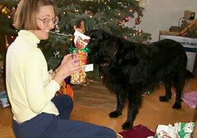 christmas-2001/penny-1.jpg