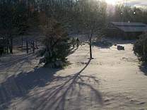 dcp_0002.jpg