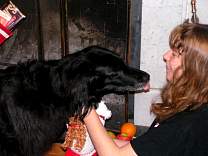 pict0281.jpg