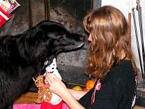 pict0282.jpg