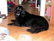 pict0291.jpg