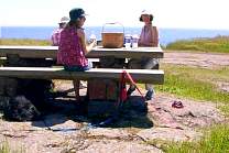 20020726gooseberryfallsmn.jpg