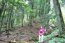 20080811porkieshike.jpg