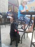 20190708keweenawbrewingcompanypatio.jpg