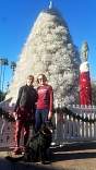 20201215tumbleweedtreechandleraz.jpg