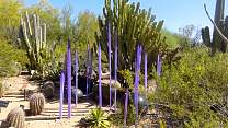 46botgardens.jpg