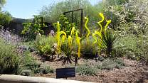 50botgardens.jpg