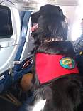20200311_01agateflystodenver.jpg